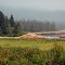 Northern Maine coast