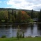 Moose River Cabins