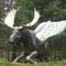 flying moose