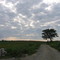 Biblical Sky at Clarry Hill