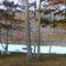Autumn on Seven Tree Pond
