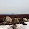 Blueberry fields, top of Clary Hill, Union, Maine