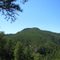 Storm Hill
