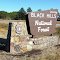 Black Hills