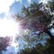 Sunny day