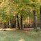 Fall in Scarborough
