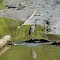 Great Blue Heron in the Harraseeket River