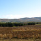 Fall Field View Mars Hill, ME