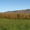 Fall View Mars Hill Mountain