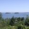 Porcupines from Bald Island, East Penobscot Bay