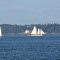 Sail Boats & Browns Head Lighthouse from Vinalhaven Ferry