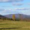 field and hills in the fall in maine