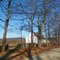 old cape and stone wall