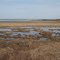 Wells National Estuarine Research Reserve