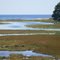 Eastward from the Rachel Carson National Wildlife Refuge