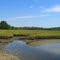 Maine Salt Marsh