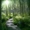 Boardwalk at Wells NERR (Laudhold Farm)