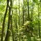 Rachel Carson NWR