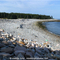 Beach at Frenchboro