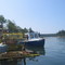 Burnt Coat Harbor