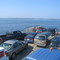 Swan's Island Ferry