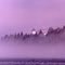 Purple Haze