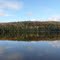 The west shore of Carrie Pond in the fall.