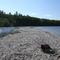 Sebago Lake Sandbar