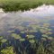 Sticky River