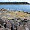 Indian Creek from Lanes Island Preserve