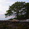 Ames Island, Muscongus Bay ME