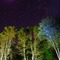 Finding the North Star
