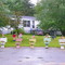 Potty plants - (location approximate)