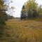 Marsh & Woods near Timber Cove, Marshville ME
