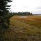Shoreline & Tidal Marsh near Inlet, South Side of Mill River