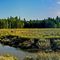 Downeast Coastal Conservancy - Beaver Meadow Brook