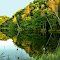 No name pond in late summer