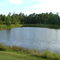 Reedy Pond