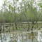 Bear Branch Reservoir 2