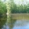 Pund Pond 1