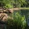 The Woodlands, Texas