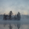 MILTON FOG