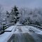 Snowy Bridge