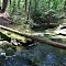 Sprague Pond Preserve, Phippsburg Maine