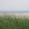 Old Orchard Beach