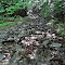 Rocky road; Burrough Road, Bowdoin Maine