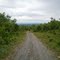 View from Scenic View ATV Trail