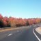 I-95 Fall Foliage