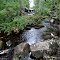 Looking upstream towards Runaround Pond Dam, Durham Maine