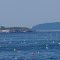 Whitehead Island Lighthouse from Vinalhaven Ferry